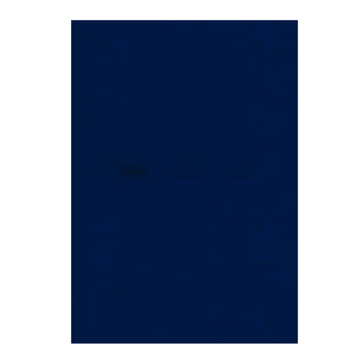 A4 Size Blue Color Paper (100 Sheets Each Colour, 75 Gsm) - Pack Of 100 Sheets